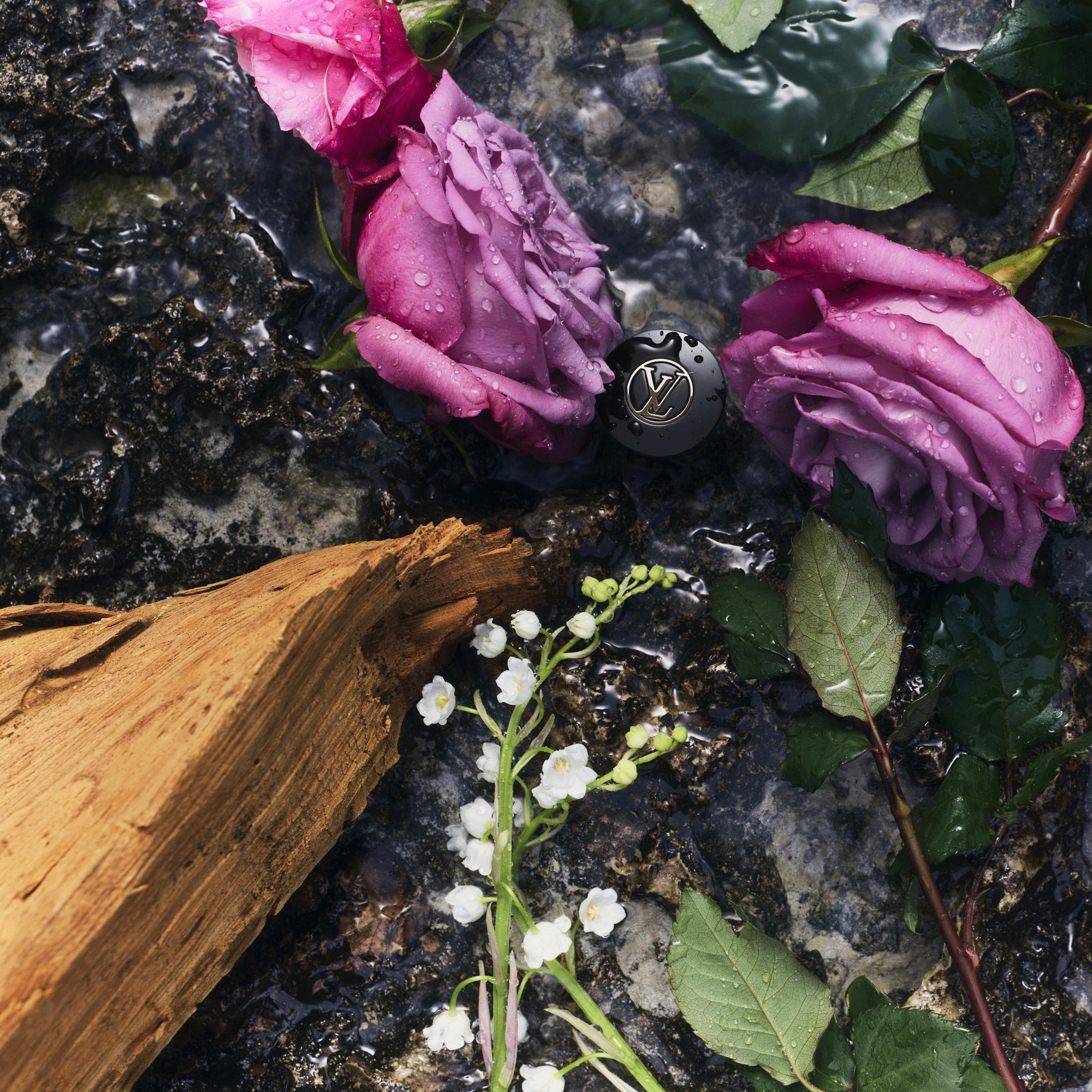 Rose Des Vents - Collections | LOUIS VUITTON